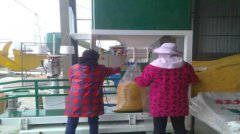 ���Ȱ��b�ӬF(xi��n)������